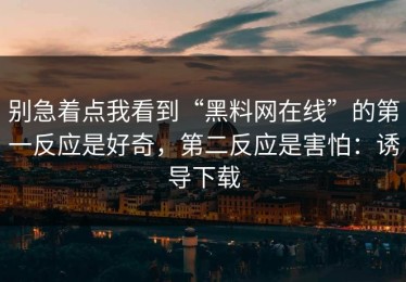 别急着点我看到“黑料网在线”的第一反应是好奇，第二反应是害怕：诱导下载