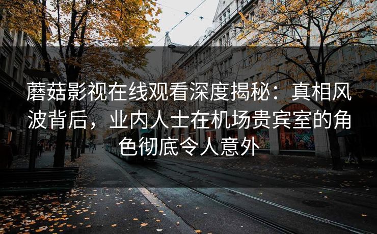 蘑菇影视在线观看深度揭秘：真相风波背后，业内人士在机场贵宾室的角色彻底令人意外