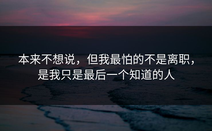 本来不想说，但我最怕的不是离职，是我只是最后一个知道的人