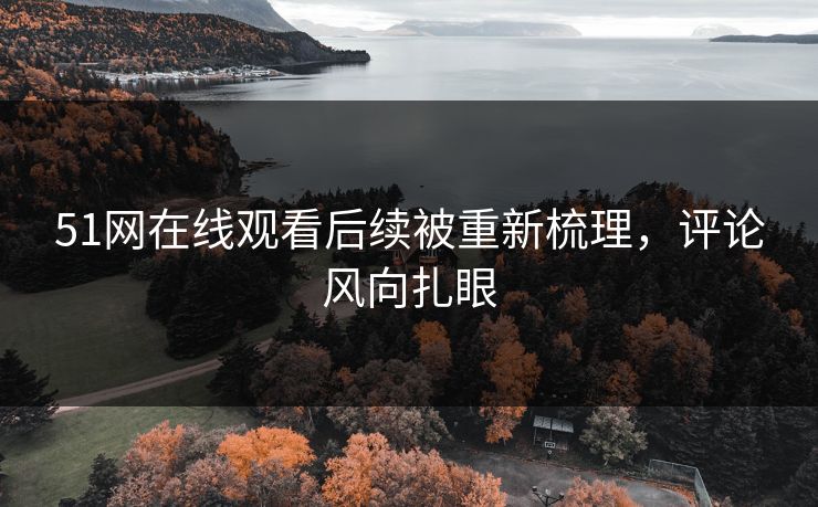 51网在线观看后续被重新梳理，评论风向扎眼