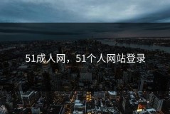 51成人网，51个人网站登录
