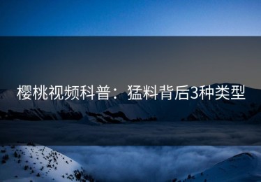樱桃视频科普：猛料背后3种类型