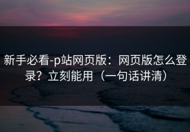 新手必看-p站网页版：网页版怎么登录？立刻能用（一句话讲清）