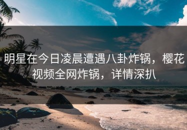 明星在今日凌晨遭遇八卦炸锅，樱花视频全网炸锅，详情深扒