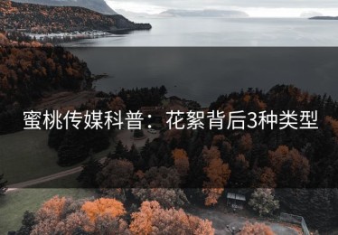 蜜桃传媒科普：花絮背后3种类型