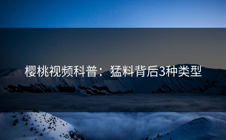 樱桃视频科普：猛料背后3种类型